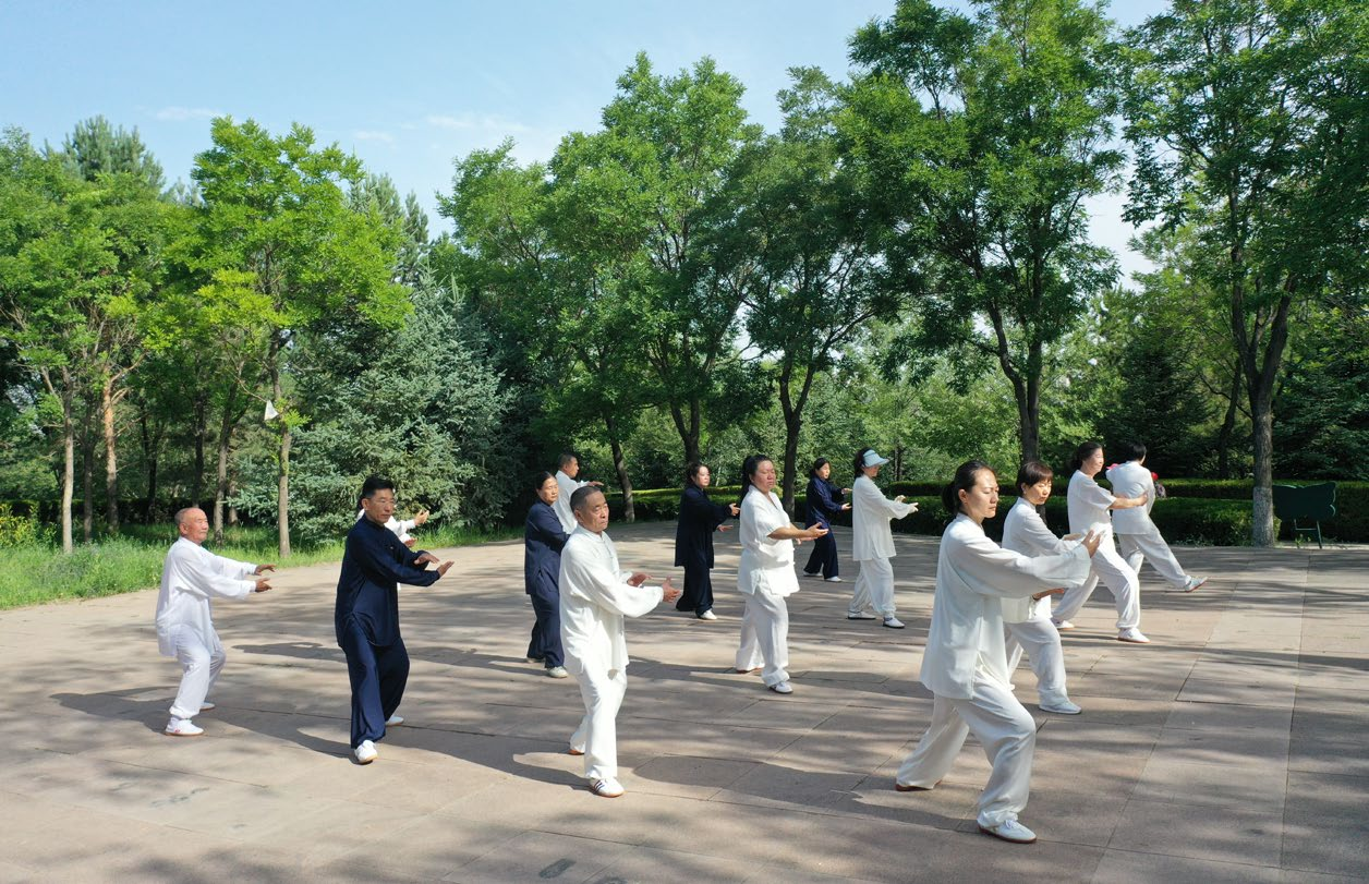 鄂尔多斯市中医药协会中医太极队